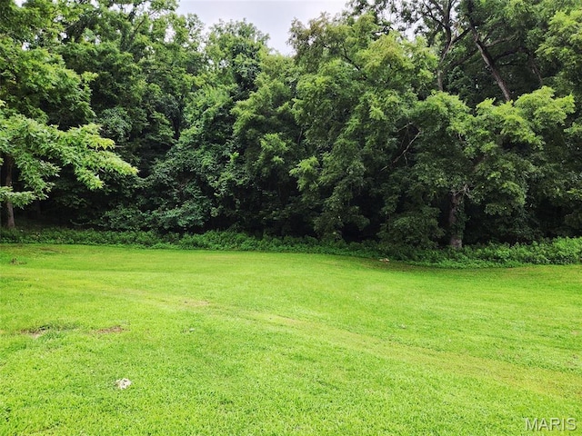 1924 Booker St, Hannibal, MO 63401 - photo 6
