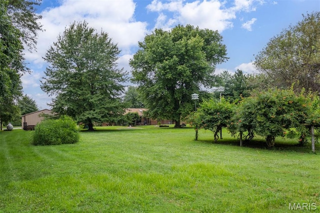 1104 Summerfield Rd, Saint Jacob, IL 62281 - photo 26