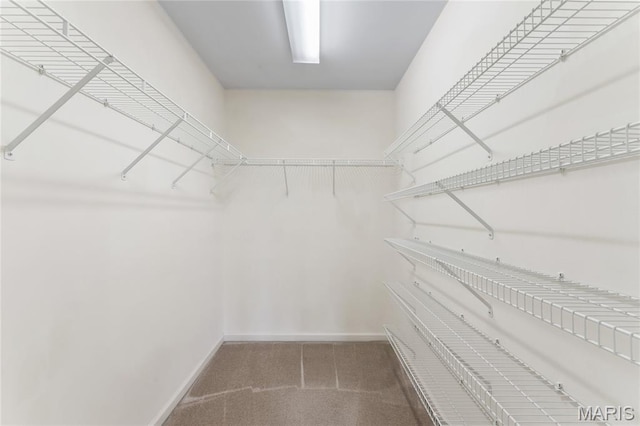 521 Villa Piazza Ct Unit 27B, Ofallon, MO 63366 - photo 21