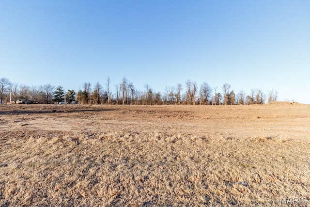 750 Lynn St, Lebanon, MO 65536 - photo 10