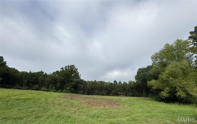 212 Scarlet Oak Loop, Villa Ridge, MO 63089 - photo 2