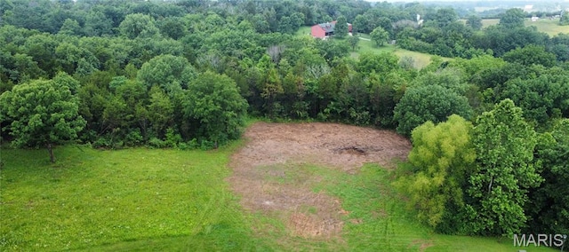 212 Scarlet Oak Loop, Villa Ridge, MO 63089 - photo 6