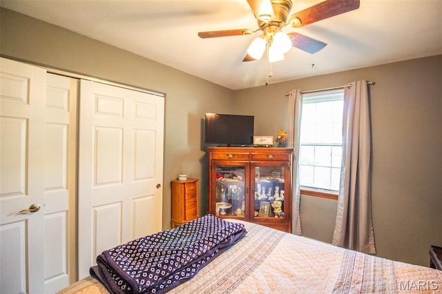 811 Dewey St, Belleville, IL 62221 - photo 17