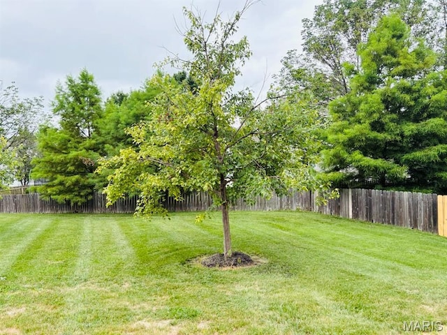 1209 Hemingway Ln Unit H, Weldon Spring, MO 63304 - photo 31