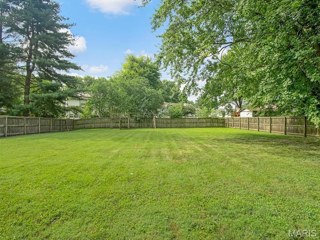 1017 Timber Creek Ln, Ofallon, IL 62269 - photo 23