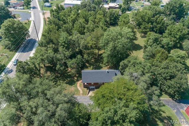 209 N State St, Desloge, MO 63601 - photo 4