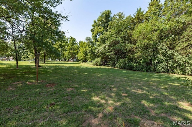 209 N State St, Desloge, MO 63601 - photo 8