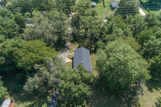 209 N State St, Desloge, MO 63601 - photo 19