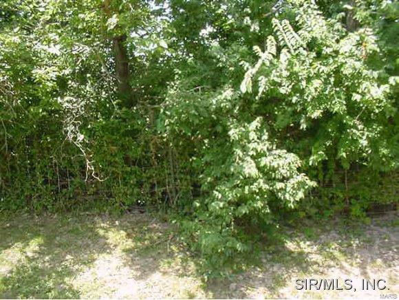 302 N State St, Sorento, IL 62086