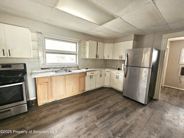 kitchen with a paneled ceiling, stainless steel appliances, dark hardwood / wood-style flooring, and sink