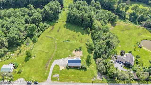 20337 State Route 171, Susquehanna, PA 18847 - drone / aerial view