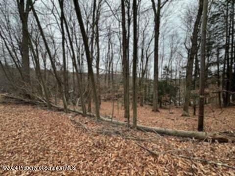 28 Cedar Dr, Lake Ariel, PA 18436
