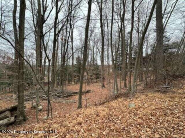 28 Cedar Dr, Lake Ariel, PA 18436