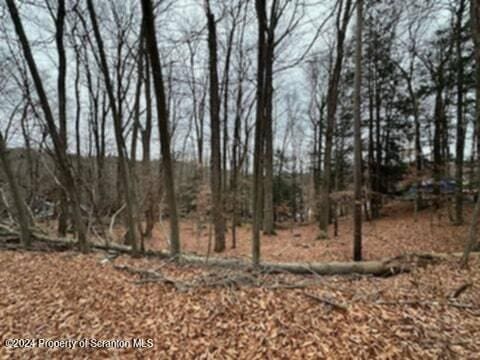 28 Cedar Dr, Lake Ariel, PA 18436