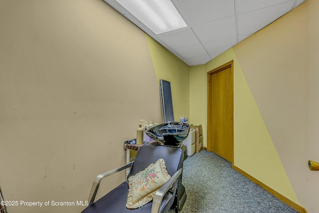 1742 State Route 848, New Milford, PA 18834 - hall featuring carpet floors and a paneled ceiling