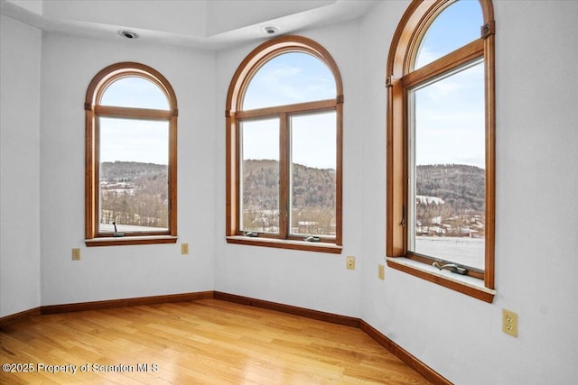 spare room with a mountain view and light wood-type flooring