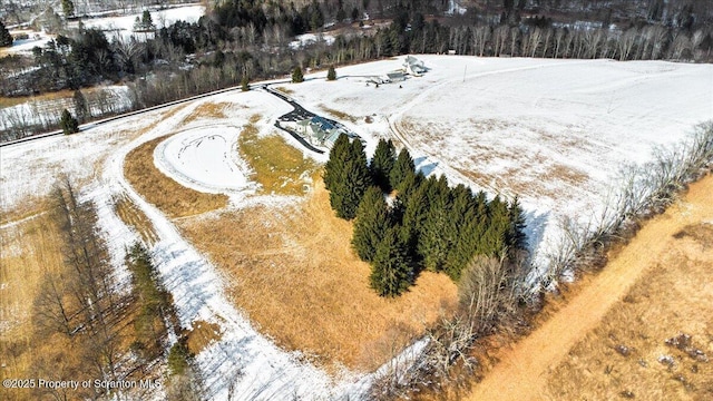 view of snowy aerial view