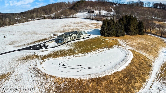 view of snowy aerial view