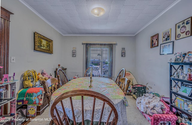 1218 1220 Dartmouth St Unit L, Scranton, PA 18504 - photo 16