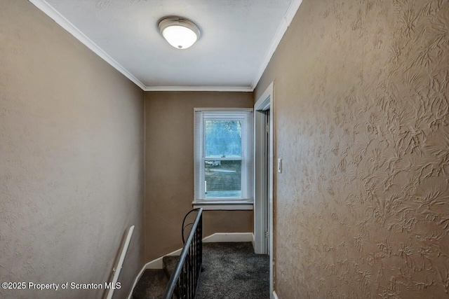 corridor with crown molding, a textured wall, baseboards, and carpet floors