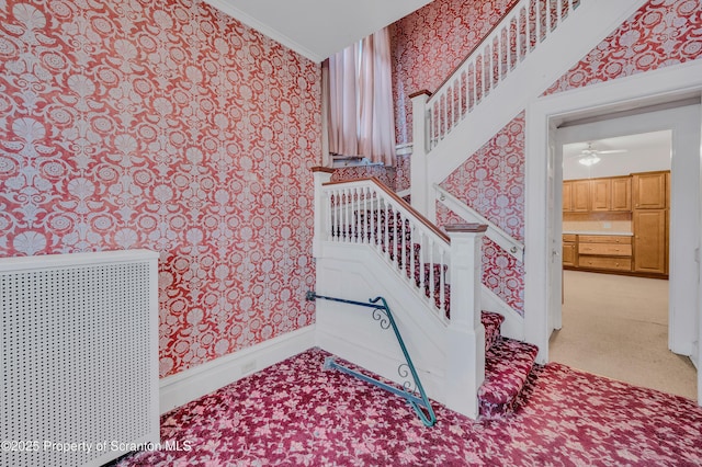 stairway featuring ceiling fan, crown molding, and carpet flooring