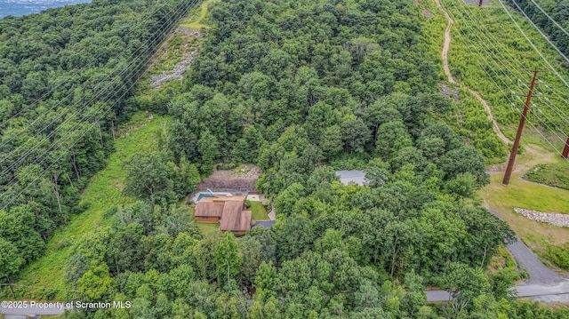 176 W Mountain Rd, Blakely, PA 18447 - photo 14