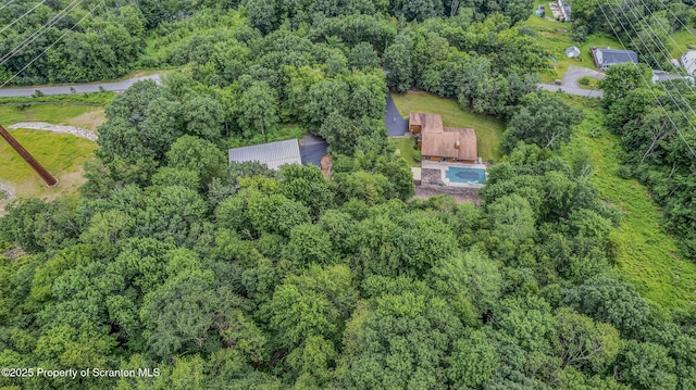 176 W Mountain Rd, Blakely, PA 18447 - photo 15