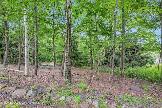176 W Mountain Rd, Blakely, PA 18447 - photo 55