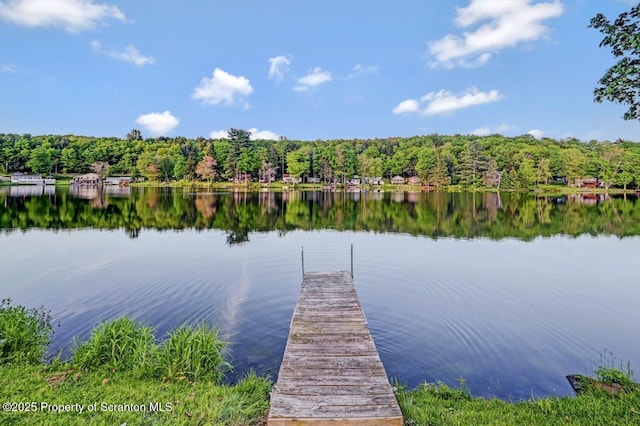 482 Lakeview Dr, Kingsley, PA 18826 - dock area featuring a forest view and a water view