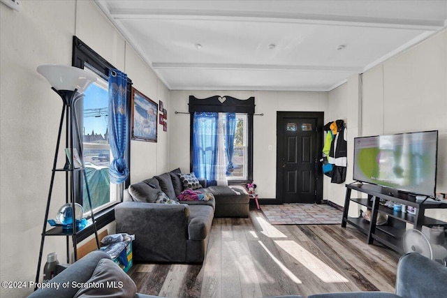 living room with hardwood / wood-style floors