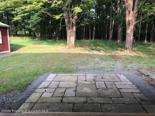 view of yard featuring a patio area