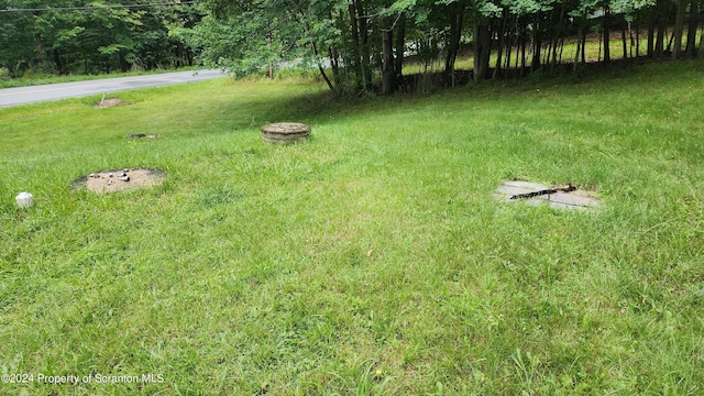 633 Meshopany Ridge Rd, Meshoppen, PA 18630 - photo 30