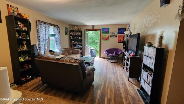 living room featuring hardwood / wood-style flooring