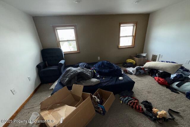 225 Taft St, Hanover Twp, PA 18706 - bedroom with multiple windows and carpet flooring