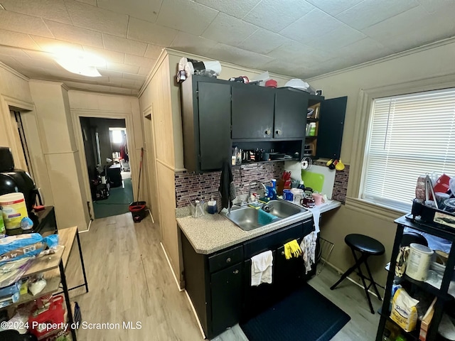 kitchen featuring tasteful backsplash, light hardwood / wood-style flooring, crown molding, and sink