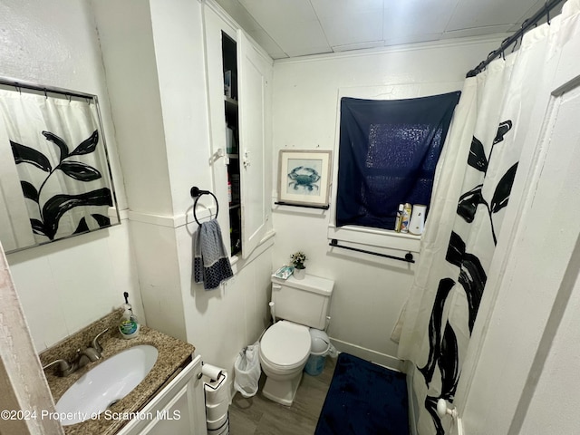 bathroom featuring vanity, toilet, and crown molding