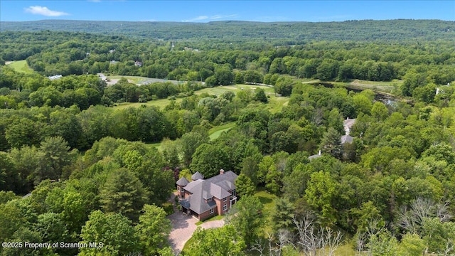 441 Hidden Lake Dr, East Stroudsburg, PA 18302 - view of subject property with a forest