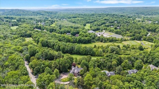 441 Hidden Lake Dr, East Stroudsburg, PA 18302 - aerial overview of property's location with a forest