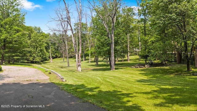 441 Hidden Lake Dr, East Stroudsburg, PA 18302 - view of community with a yard