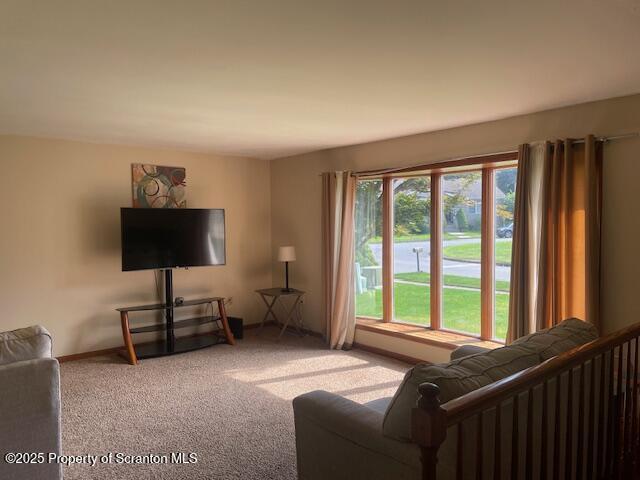 706 Parrott Ave, Scranton, PA 18504 - photo 4