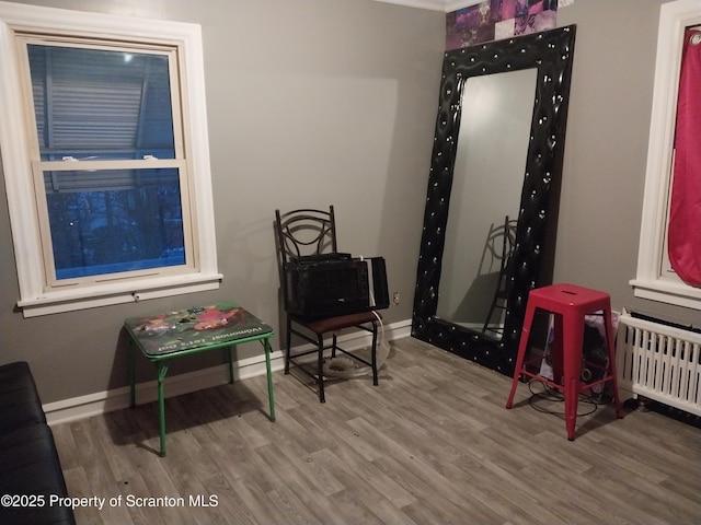 game room featuring radiator, baseboards, and wood finished floors