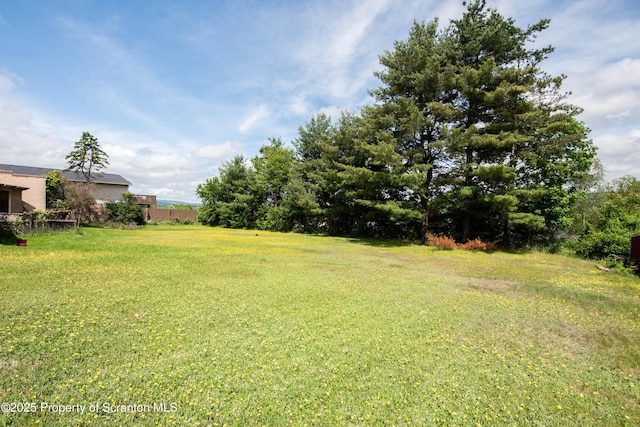 1010 Wood St, Old Forge, PA 18518 - view of grassy yard