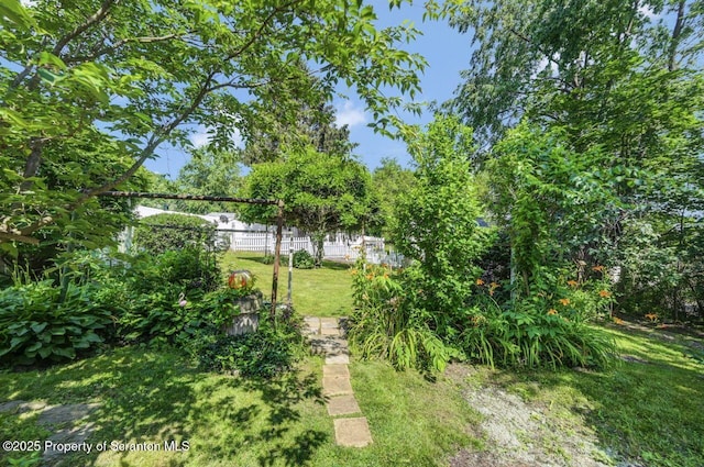 1424 Crown Ave, Scranton, PA 18505 - photo 66