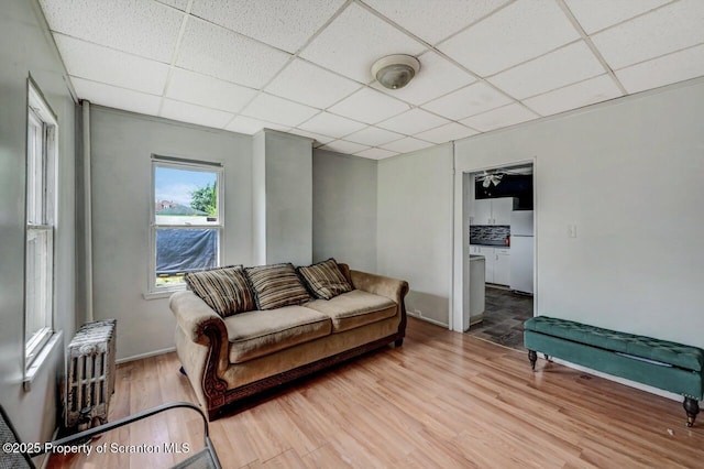 126-128 S Rebecca Ave S, Scranton, PA 18504 - living area featuring a drop ceiling, light wood-type flooring, and baseboards