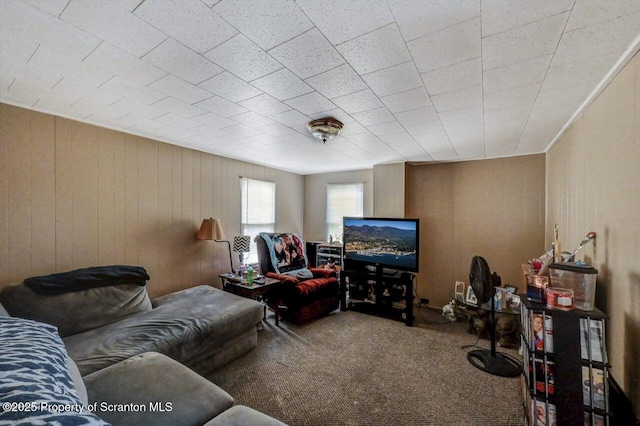 126-128 S Rebecca Ave S, Scranton, PA 18504 - carpeted living area featuring wood walls