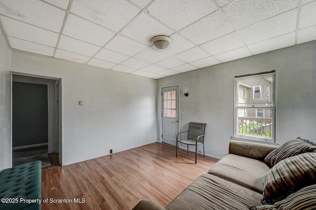 126-128 S Rebecca Ave S, Scranton, PA 18504 - living area featuring a paneled ceiling, wood finished floors, and plenty of natural light