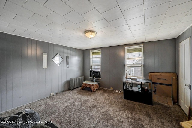 126-128 S Rebecca Ave S, Scranton, PA 18504 - living area featuring radiator, carpet, and wooden walls