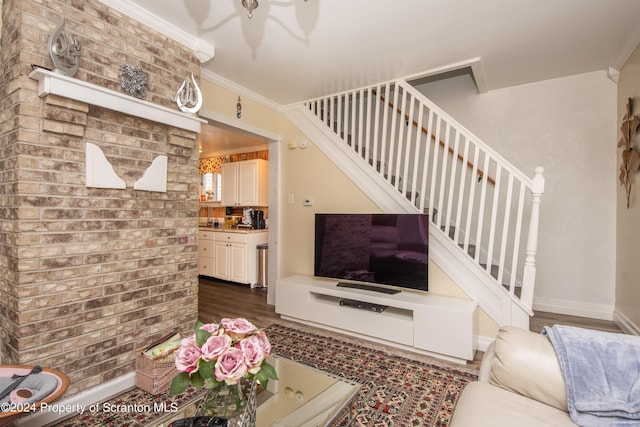 living room featuring dark wood-type flooring and crown molding