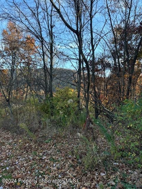 LOT37 N Skyline Dr, South Abington Twp, PA 18411