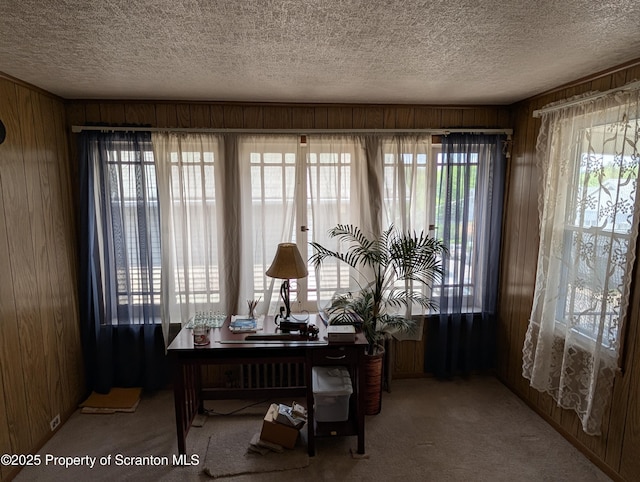 430 14th Ave, Scranton, PA 18504 - office area featuring wooden walls, carpet, and a textured ceiling